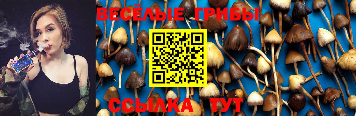 Галлюциногенные грибы MAGIC MUSHROOMS  Галлюциногенные грибы ЛСД  Вход с VPN  Москва 