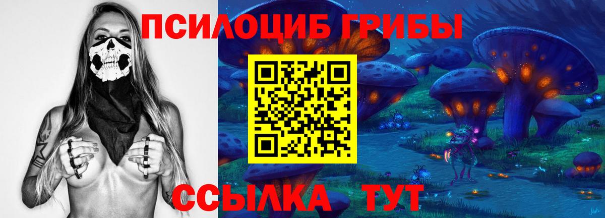 Псилоцибиновые грибы Psilocybine cubensis Москва